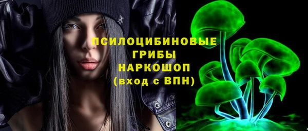 2c-b Богородицк