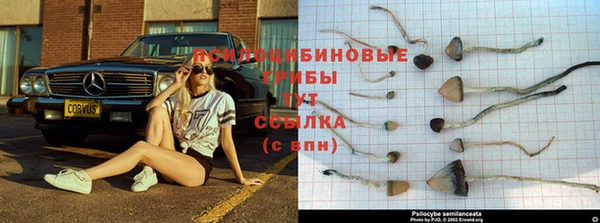 2c-b Богородицк